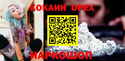 индика Камышлов