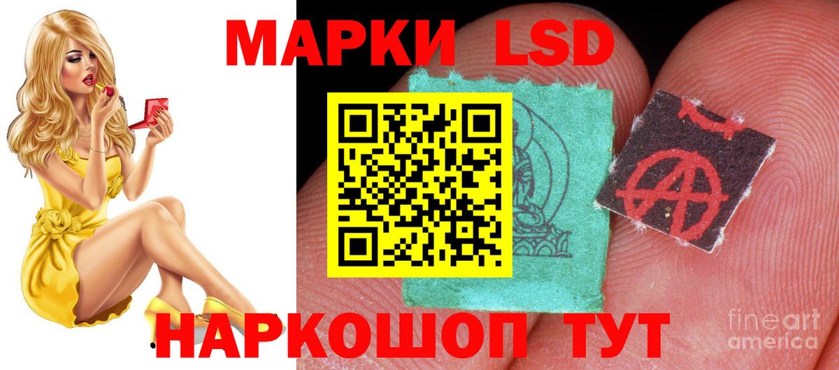 Псилоцибиновые грибы Коряжма