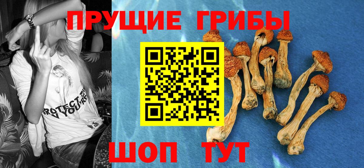 Галлюциногенные грибы ЛСД  Вход с VPN  Коряжма  Галлюциногенные грибы GOLDEN TEACHER 